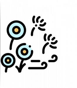 سرویس قاصدک مهربانه