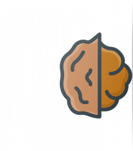 مهربانه سرویس گردو